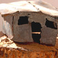 Hila Laiser Beja