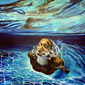 Acqua 9