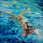 Acqua 7