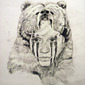 Jennifer Maidment