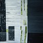 BIRCH TREE