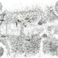 Dust Cover Ezri Gosia Wlodarczak
