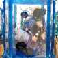 Cobalt Blue Vitrine (Squirrels)