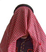 Amir  Z