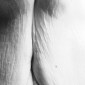 lines