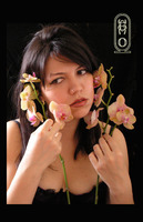 Ever Orchid
