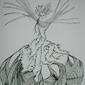 Ever Orchid