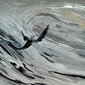 Andrea Allegrone