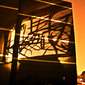 c-1 urban collection street art style