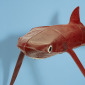 Blue Shark