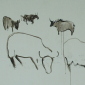 Yak Crossing