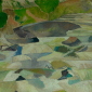 Creekbed