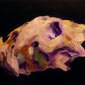 Cranium