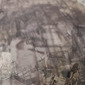 Superposition 1.2