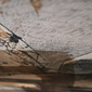Aerial View 1.1