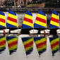 royal docks boats