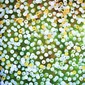    MICROCOSM               
