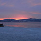 Orange Ice