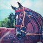 I've Never Seen a Purple Horse