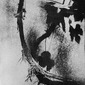 Grape's shadow