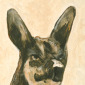 river dog