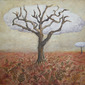 Dead tree and the cloud