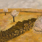 Spring blossom