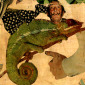 25- Tesoros Treasures Trésors