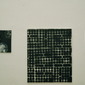 Inge Schenke