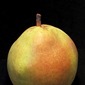 Still life of a Pear with black background