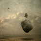 The stone