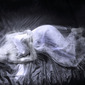 Aging Death: Veil