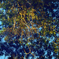 Tree Hand