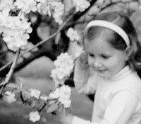 Margaret Lindsay Holton