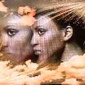 Black Model - Dreamline Series