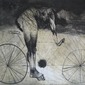 Bicyclist
