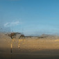 On the road