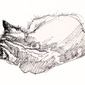Sleeping Kitten