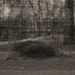 From the series 'Memory'