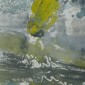 flies like a bird - print 1