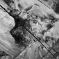 Untitled 1
