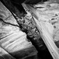Untitled 4