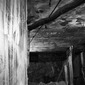 Untitled 8