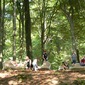 Sitting in the wild