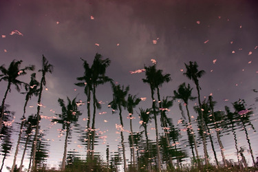 Collection Reflections; created by Carlos de la Rua Art Photography