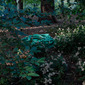 green story I