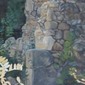 Ruine