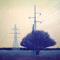 field