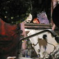 In the shed