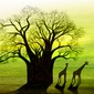 The Baobab Tree